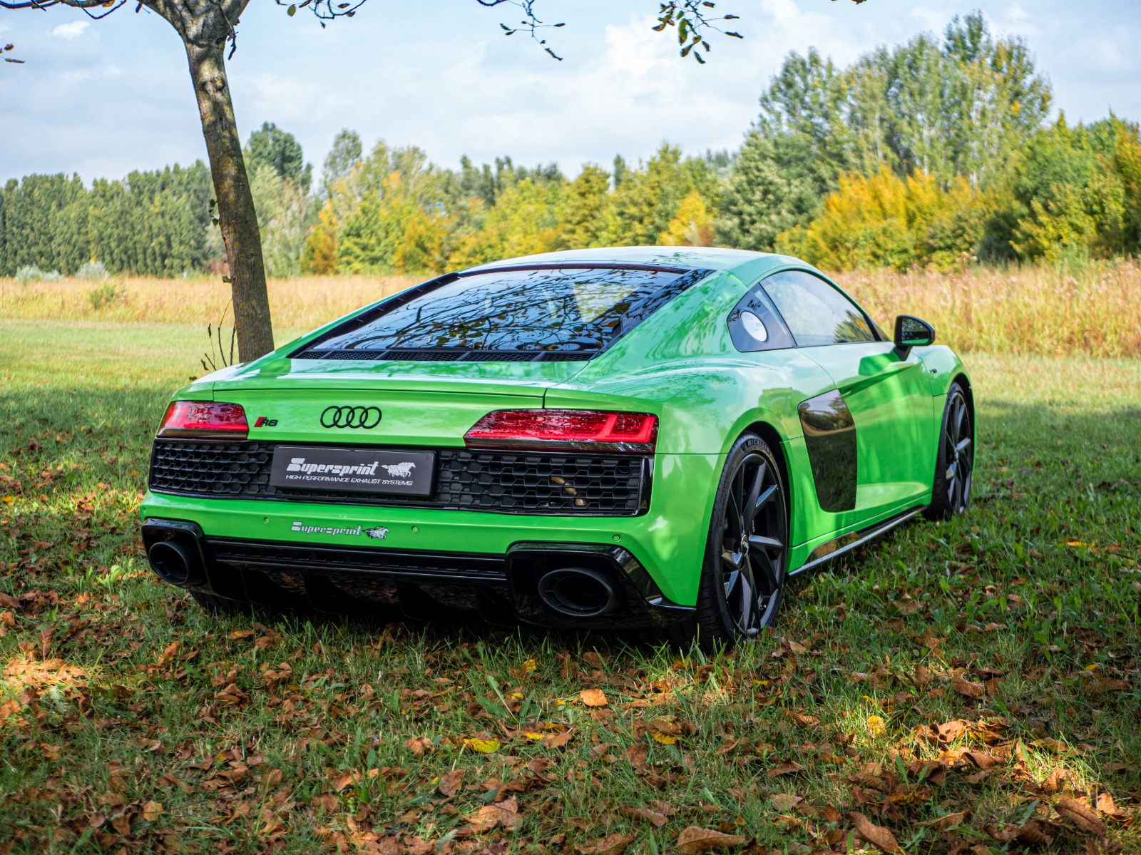 AUDI R8 Performance Coupé 5.2 FSI V10 (620 Hp - Modelli con GPF) 2019 ->