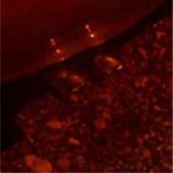 ALFA ROMEO 156 2.0i JTS '02 -> Supersprint Cat-back system 