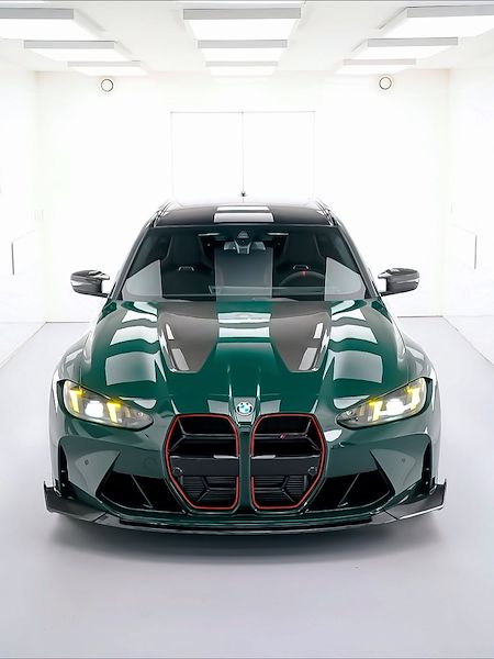 Pictures from Instagram @msirius.fr - @makegreengreatagain 